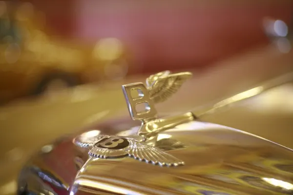 Winzinator Kasino Apl Android/iOS